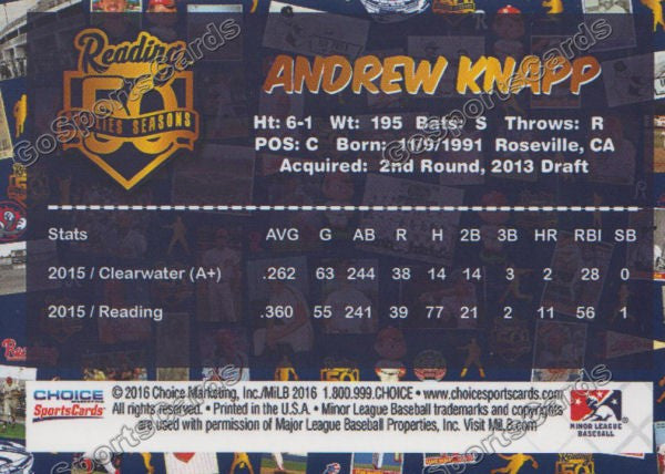 2016 Reading Fightin Phils Top Prospect 25 Andrew Knapp  Back of Card