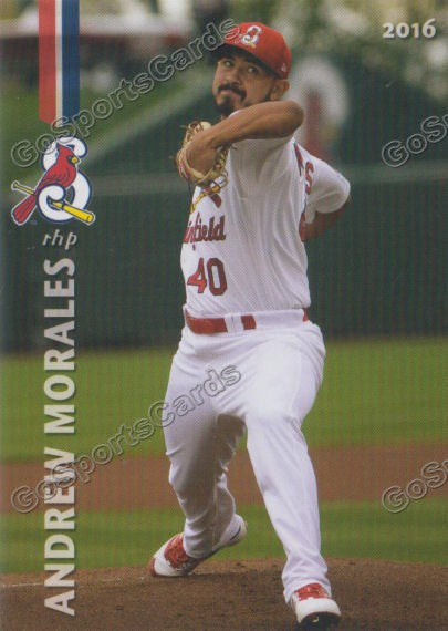2016 Springfield Cardinals Andrew Morales
