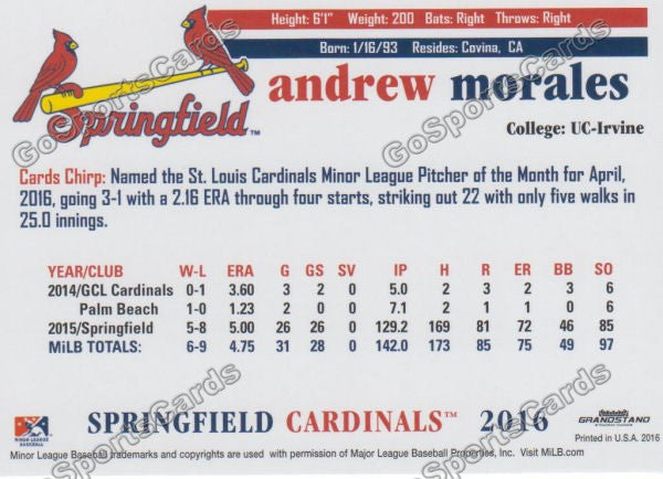 2016 Springfield Cardinals Andrew Morales Back of Card
