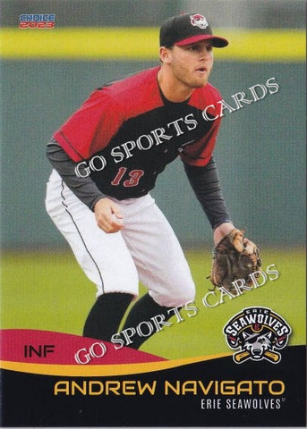 2023 Erie SeaWolves Andrew Navigato