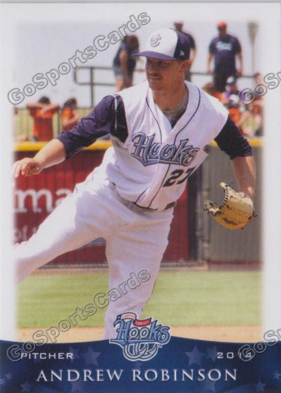 2014 Corpus Christi Hooks Andrew Robinson