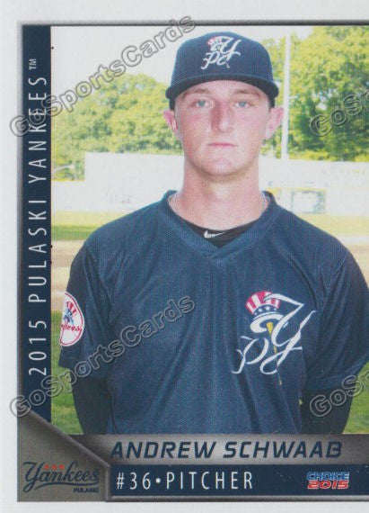 2015 Pulaski Yankees Andrew Schwaab