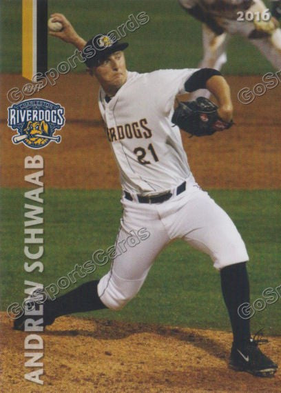 Charleston RiverDogs