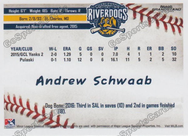 2016 Charleston RiverDogs Andrew Schwaab Back of Card