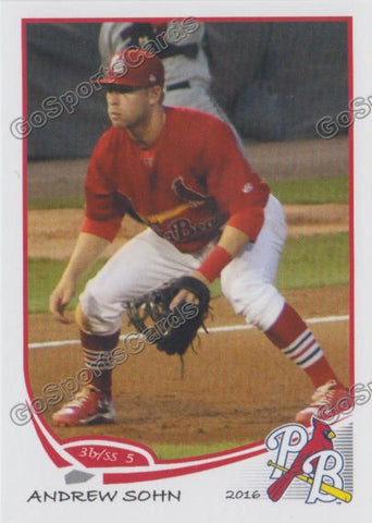 2016 Palm Beach Cardinals Andrew Sohn