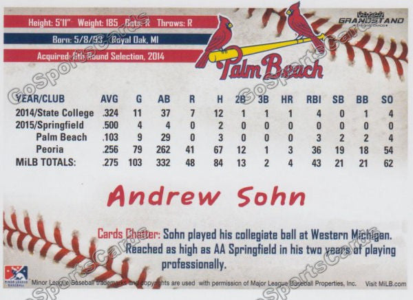 2016 Palm Beach Cardinals Andrew Sohn  Back of Card