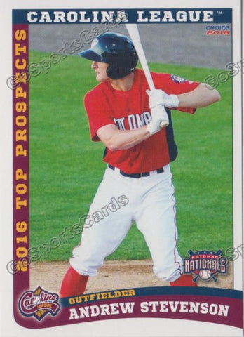 2016 Carolina League Top Prospect Andrew Stevenson