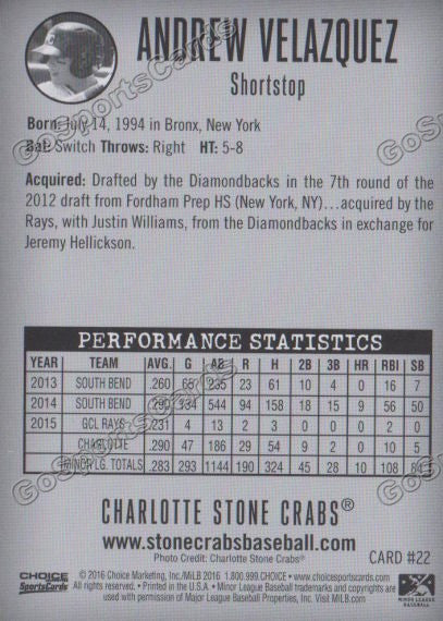 2016 Charlotte Stone Crabs Andrew Velazquez Back of Card
