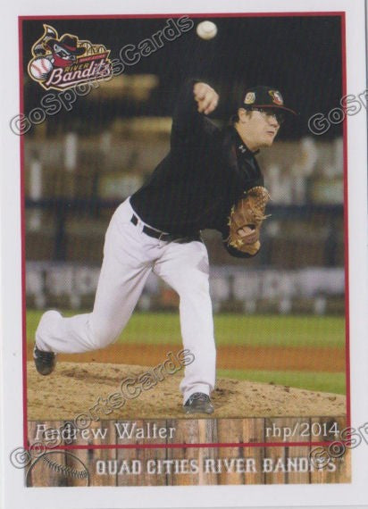 2014 Quad Cities River Bandits Andrew Walter