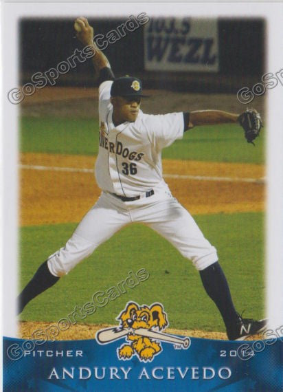 2014 Charleston Riverdogs Andury Acevedo
