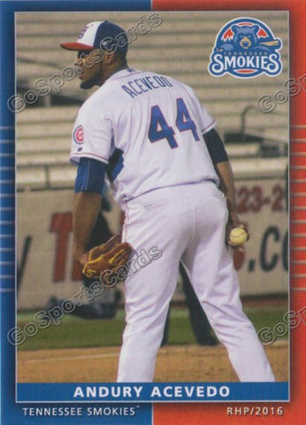 2016 Tennessee Smokies Andury Acevedo
