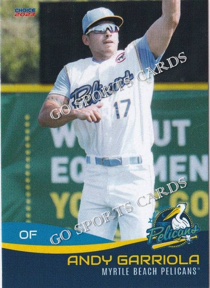 2023 Myrtle Beach Pelicans Andy Garriola