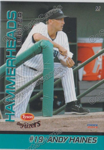 2013 Jupiter Hammerheads Andy Haines