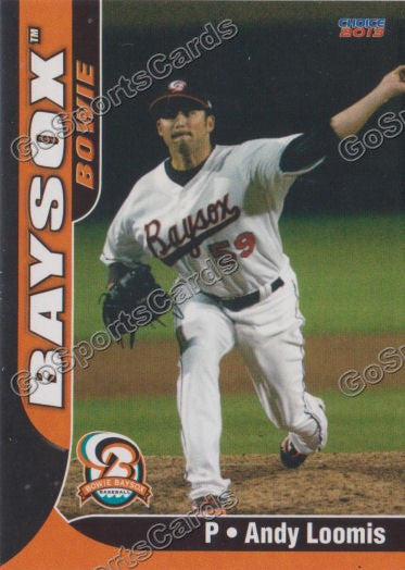 2013 Bowie BaySox Andy Loomis