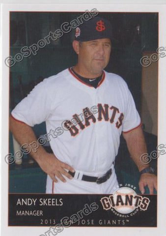 2013 San Jose Giants Andy Skeels