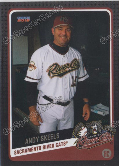 2015 Sacramento River Cats Andy Skeels
