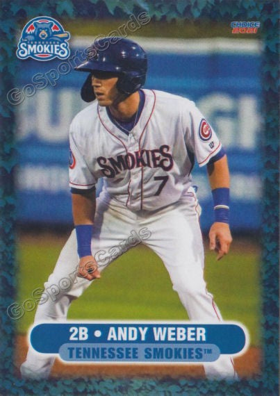 2021 Tennessee Smokies Andy Weber