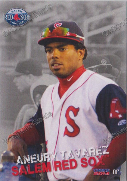 2014 Salem Red Sox Aneury Tavarez