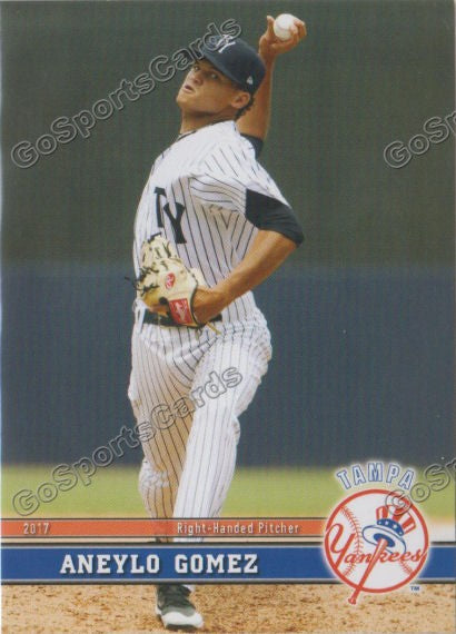 2017 Tampa Yankees Anyelo Aneylo Gomez