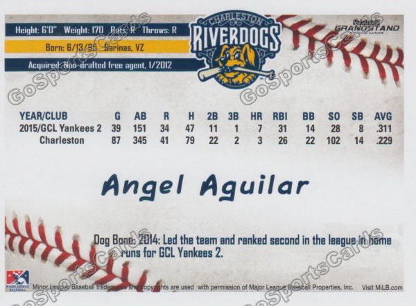 2016 Charleston RiverDogs Angel Aguilar Back of Card