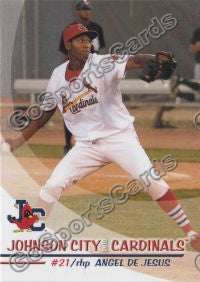 2010 Johnson City Cardinals Angel DeJesus
