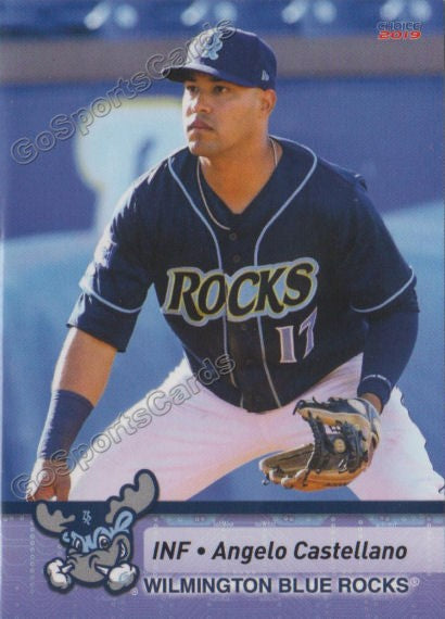 2019 Wilmington Blue Rocks Angelo Castellano