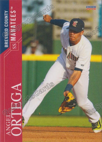 2016 Brevard County Manatees Angel Ortega