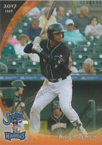 2017 Jupiter Hammerheads Angel Reyes