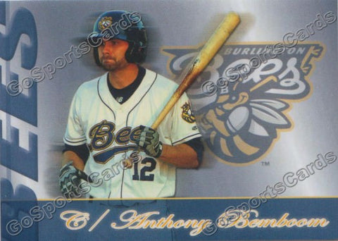 2013 Burlington Bees Anthony Bemboom