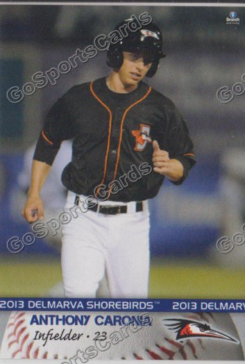 2013 Delmarva Shorebirds Anthony Caronia