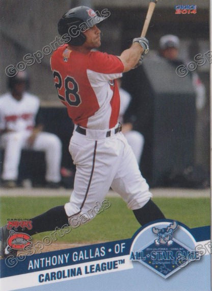 2014 Carolina League All Star Anthony Gallas