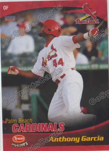 2013 Palm Beach Cardinals Anthony Garcia