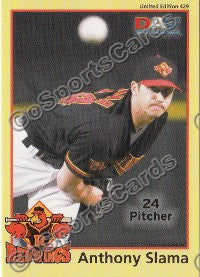 2010 Rochester Red Wings DAV #429 Anthony Slama