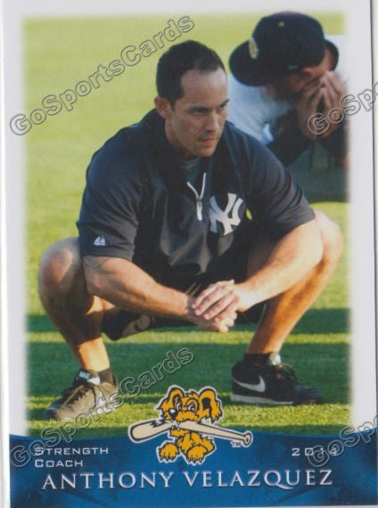 2014 Charleston Riverdogs Anthony Velazquez