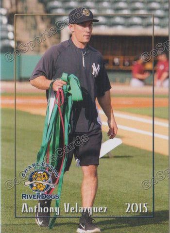 2015 Charleston Riverdogs Anthony Velazquez