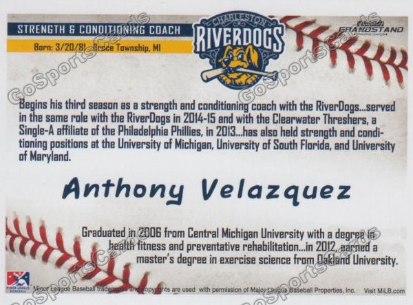 2016 Charleston RiverDogs Anthony Velazquez Back of Card