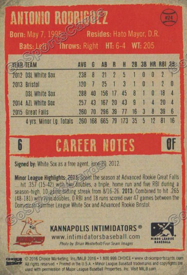  2016 Kannapolis Intimidators Antonio Rodriguez Back of Card