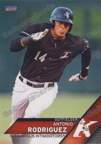 2017 Kannapolis Intimidators Antonio Rodriguez