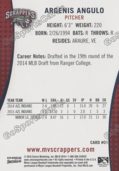 2016 Mahoning Valley Scrappers Argenis Angulo Back of Card