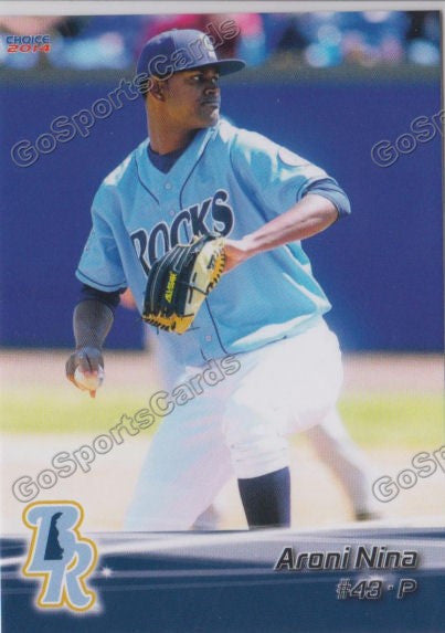 2014 Wilmington Blue Rocks Aroni Nina