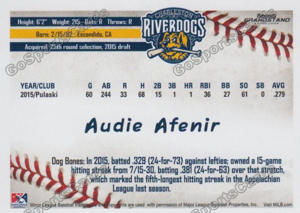 2016 Charleston RiverDogs Austin Audie Afenir Back of Card
