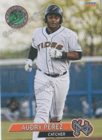 2016 Norfolk Tides Audry Perez