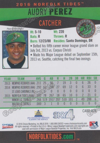2016 Norfolk Tides Audry Perez Back of Card