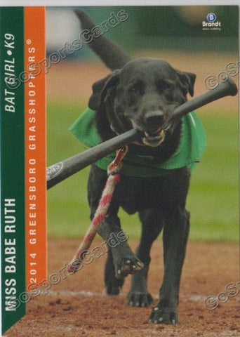 2014 Greensboro Grasshoppers Miss Babe Ruth
