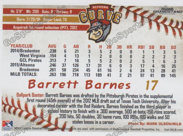 2016 Altoona Curve Barrett Barnes Back of Card