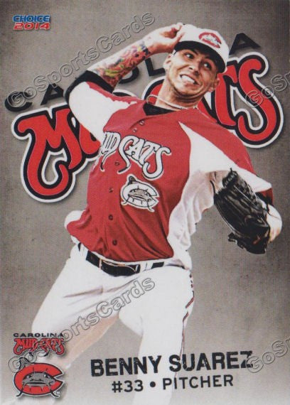 2014 Carolina Mudcats Benny Suarez