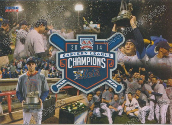 2014 Binghamton Mets Champions Checklist Header