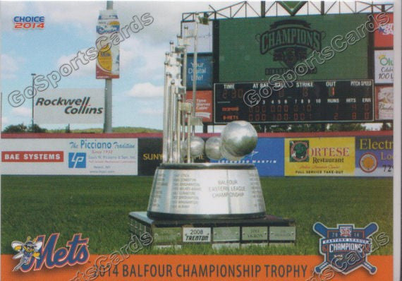 2014 Binghamton Mets Champions Trophy