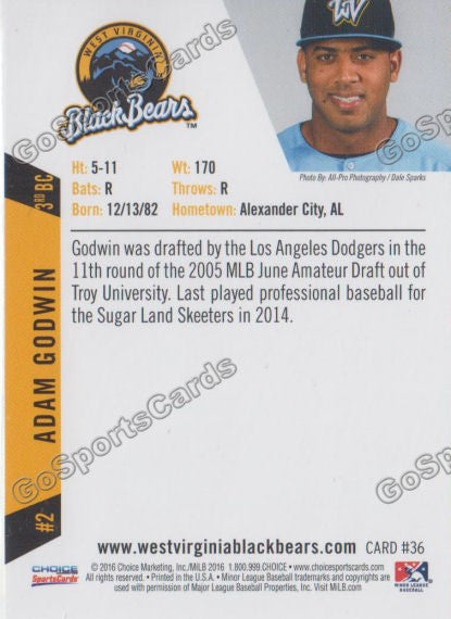 2016 West Virginia Black Bears Adam Goodwin ERROR