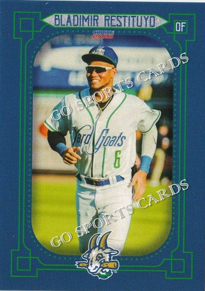 2023 Hartford Yard Goats Bladimir Restituyo